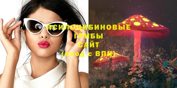 а пвп мука Верея