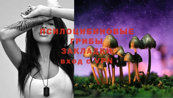 ECSTASY Бугульма