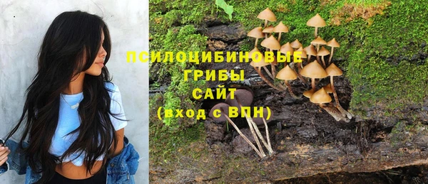 не бодяженный Верхний Тагил