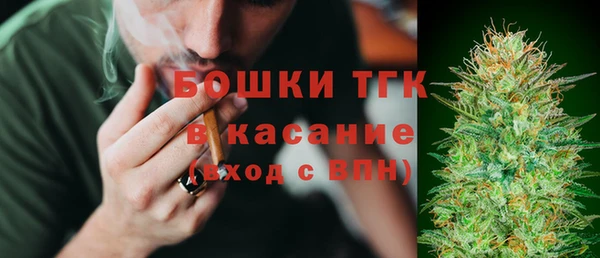 экстази Бородино