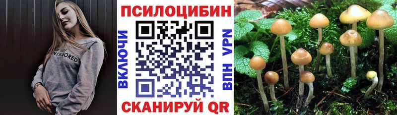 Купить  Высоковск  Галлюциногенные грибы прущие грибы 
